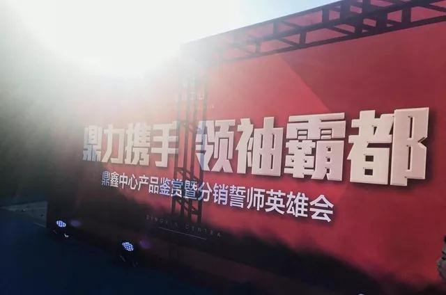 鼎力攜手，領(lǐng)袖霸都！合肥鼎鑫中心產(chǎn)品鑒賞暨分銷誓師英雄會(huì)圓滿落幕！