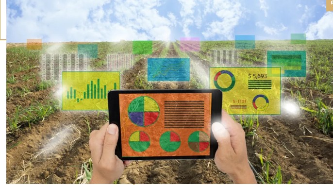 馬云說(shuō)“致富未來(lái)在農(nóng)村”,那么農(nóng)村未來(lái)的致富人群是哪類人？