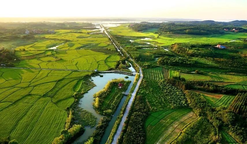 鄉(xiāng)村振興背景下，有機(jī)農(nóng)業(yè)3.0時代的思考