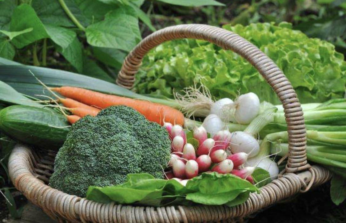 進(jìn)一步壓實(shí)“菜籃子”市長(zhǎng)負(fù)責(zé)制