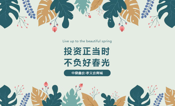 孝義唯一大產(chǎn)權(quán)的農(nóng)批商鋪，投資有保障！